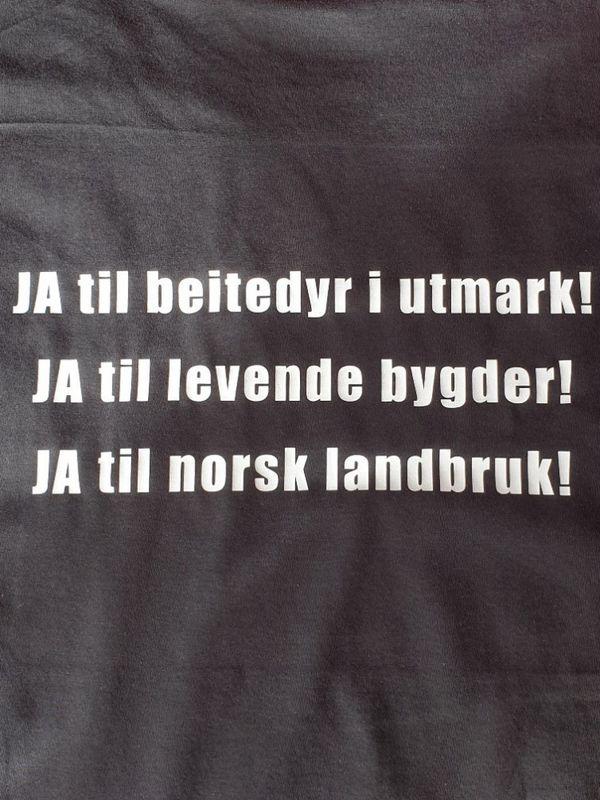 T-skjorte: En hyllest til gammelnorsk sau!
