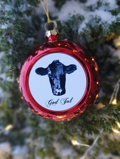 Hovedbilde Julekule Angus