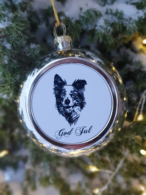 Hovedbilde Julekule Border Collie